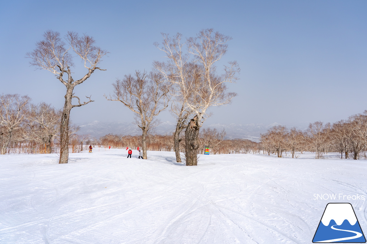 ニセコビレッジ ＆ ニセコHANAZONOリゾート ＆ ニセコ東急 グラン・ヒラフ｜現在も全エリアで山頂から山麓まで大部分滑走可能！とにかく広い世界のニセコ(^^)v